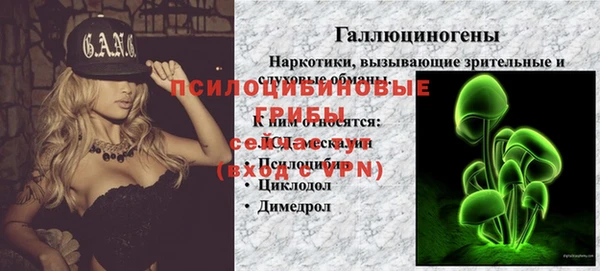 бошки Нея