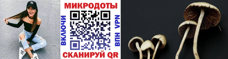 Псилоцибиновые грибы ЛСД  Купить закладки  Городовиковск 