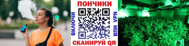 Конопля гибрид  Купить где  Городовиковск 